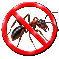 Traitement contre les fourmis, puces et autres insectes nuisibles.